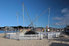 Beach spider