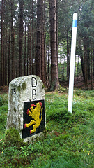 DB15