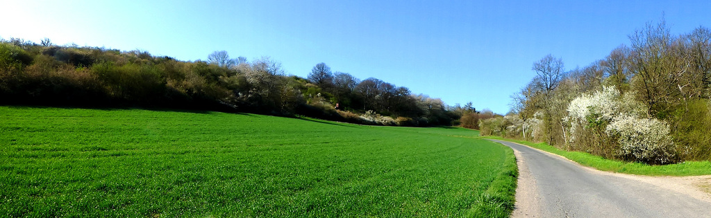 Frühlingsspaziergang