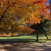 Colours in the park