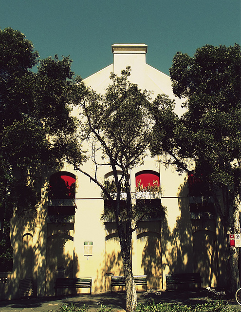 Red windows