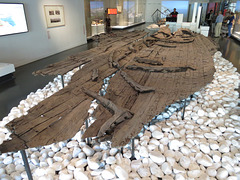 Musée de l'Histoire de Marseille : épave retrouvée dans le port.