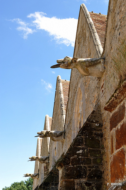 Gargouilles de l'Eglise Notre-Dame du Mont Harou à Moutiers-au-Perche - Orne - Basse Normandie