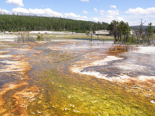 Hot Springs Run-Off