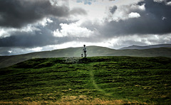 Windswept Fell, Cumbria