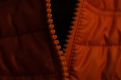 Orange Jacket With Zip