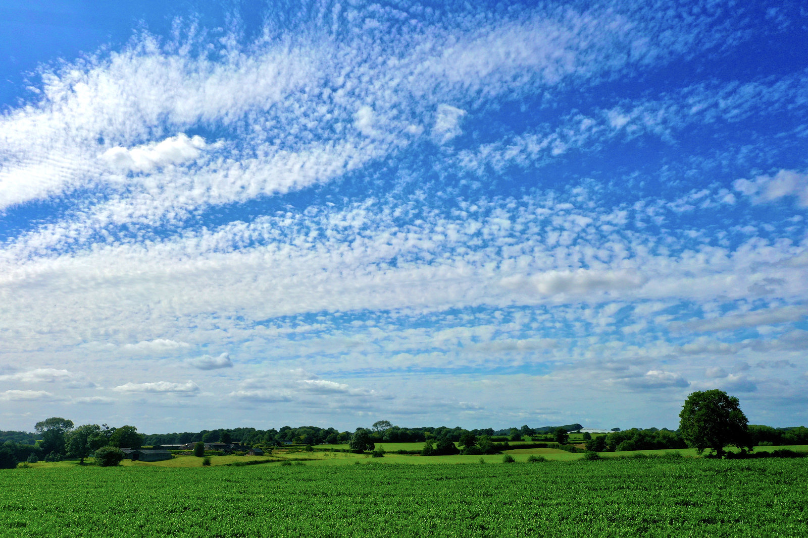 Nice cloud formation