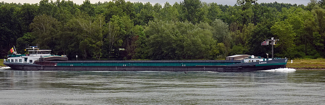 Frachtschiff LAGUZ Bergwärts nach Karrlsruhe