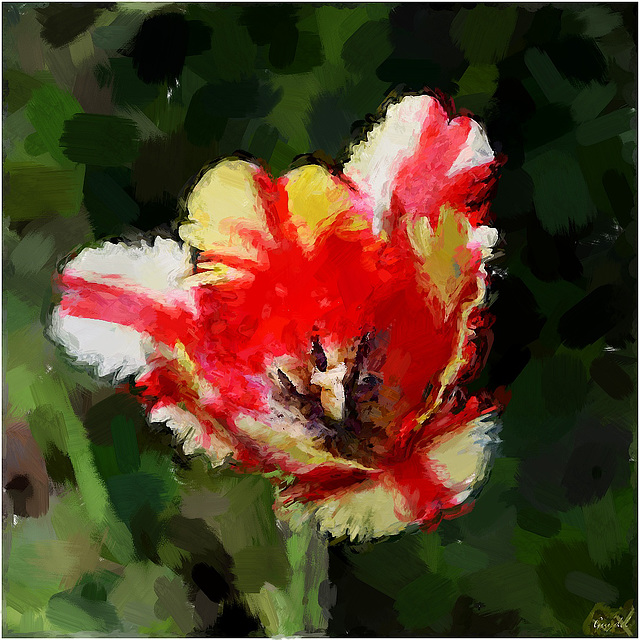 Impression Tulipe