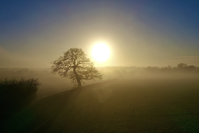 Misty sunset