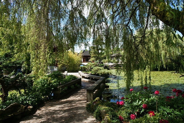 Dr Sun Yat Sen Chinese Gardens