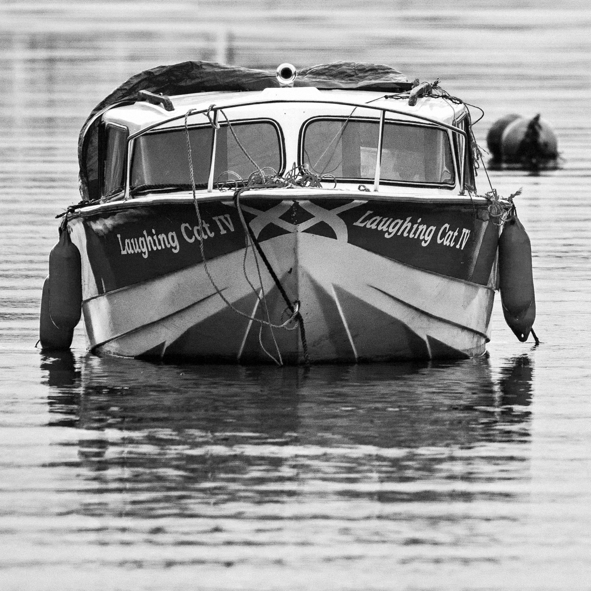 'Laughing Cat IV', River Leven, Dumbarton