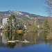 Tierpark Arth-Goldau März 22 / Abbruchstelle am Rossberg