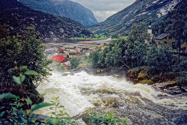 Vous aimez la nature ? J'ai des locations bien situées à vous proposer...