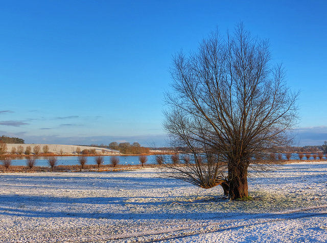 Stuerscher See und Weide