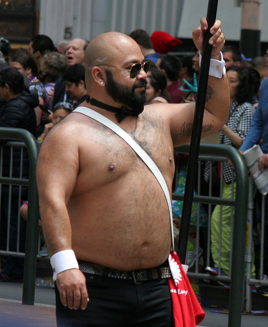 San Francisco Pride Parade 2015 (6503)