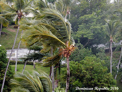 48 Strong Wind Gusts Preceeding The Rain