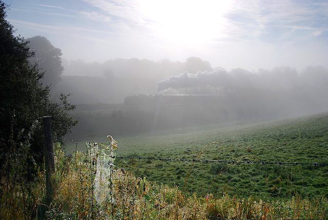 Web on a barbed wire fence on a misty morning.