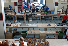 Blick in die Fisch-Markthalle von Funchal