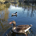 Tierpark Arth-Goldau März 22