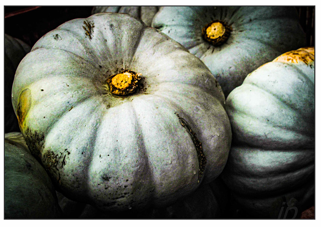 Herbst 24 Herbst 24