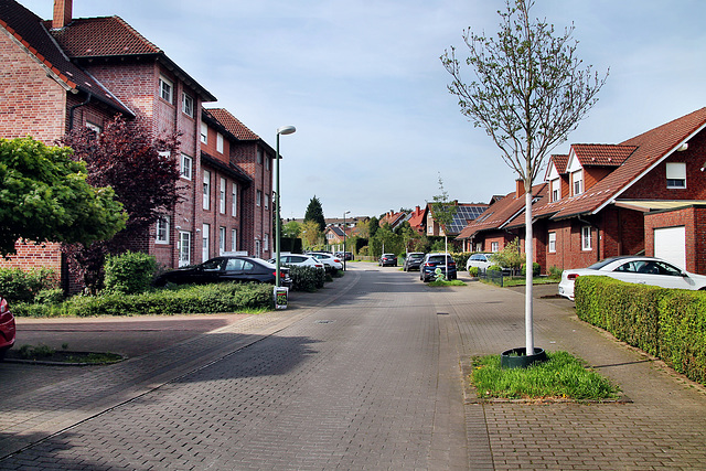 Bertha-von-Suttner-Straße (Lünen-Altlünen) / 13.04.2024