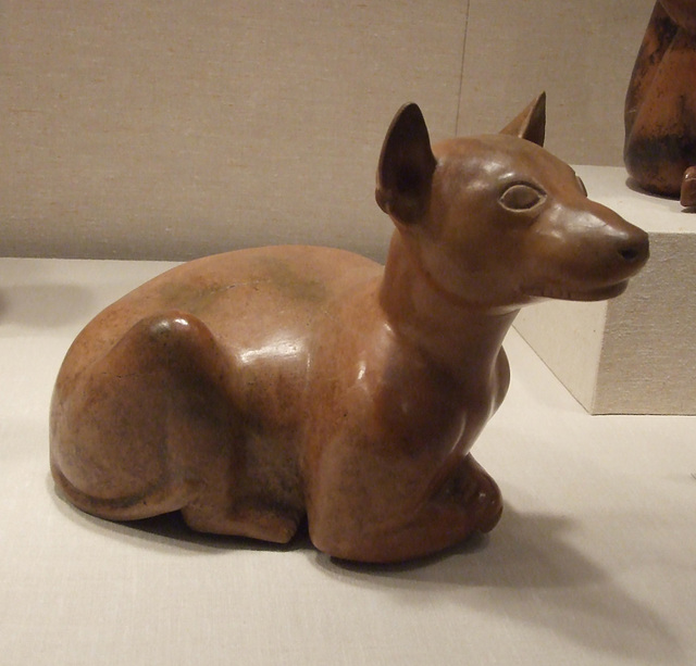 Ancient Mexican Reclining Dog in the Metropolitan Museum of Art, February 2012