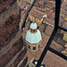 From the Asinelli Tower upside down, Bologna