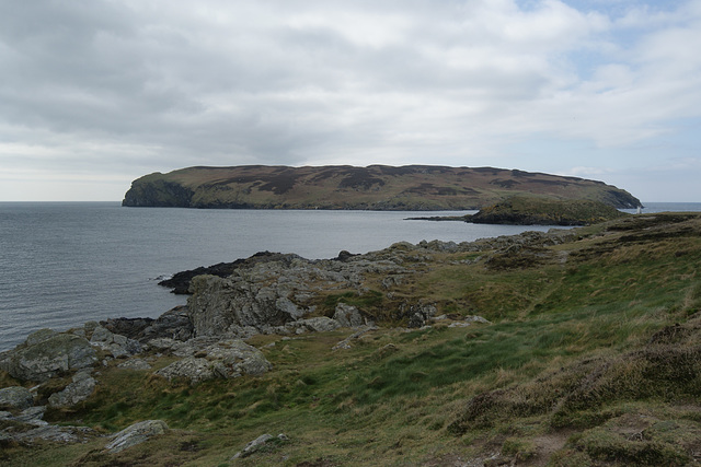 Calf Of Man