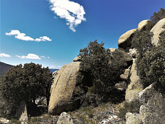 Typical Sierra de La Cabrera granite scenery