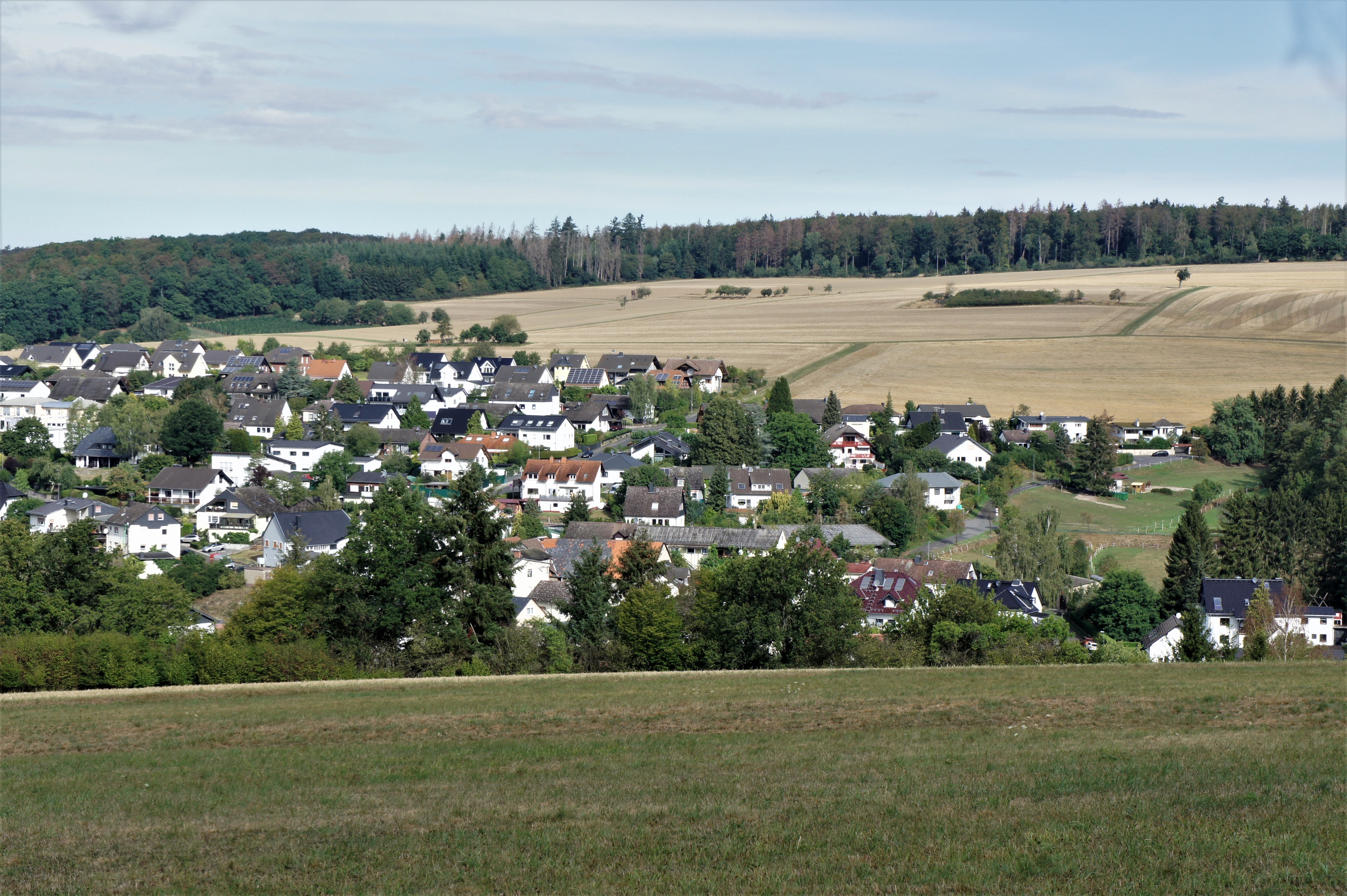 Taunus