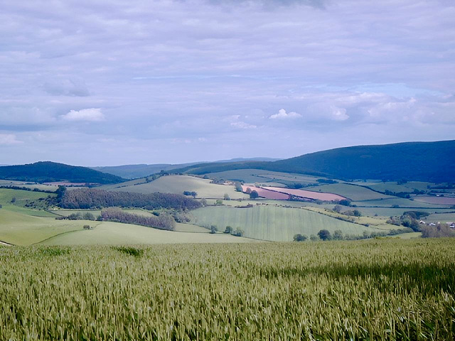 Along the Cefns on the Shropshire Way.