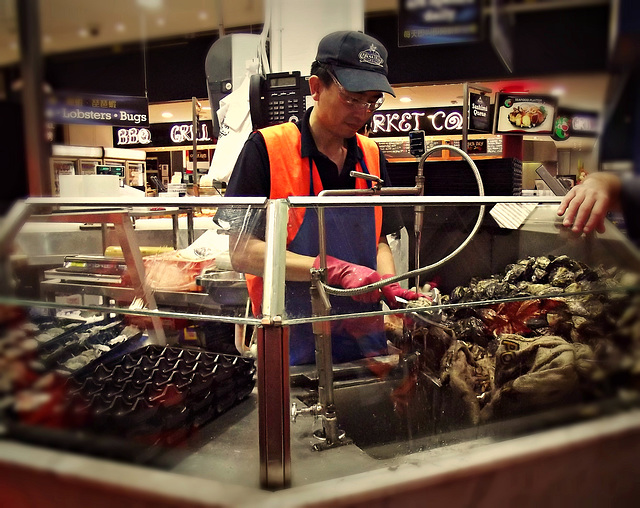 Oysters, Sydney Fish Market