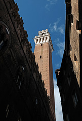 Tuscany 2015 Siena 5 X100t