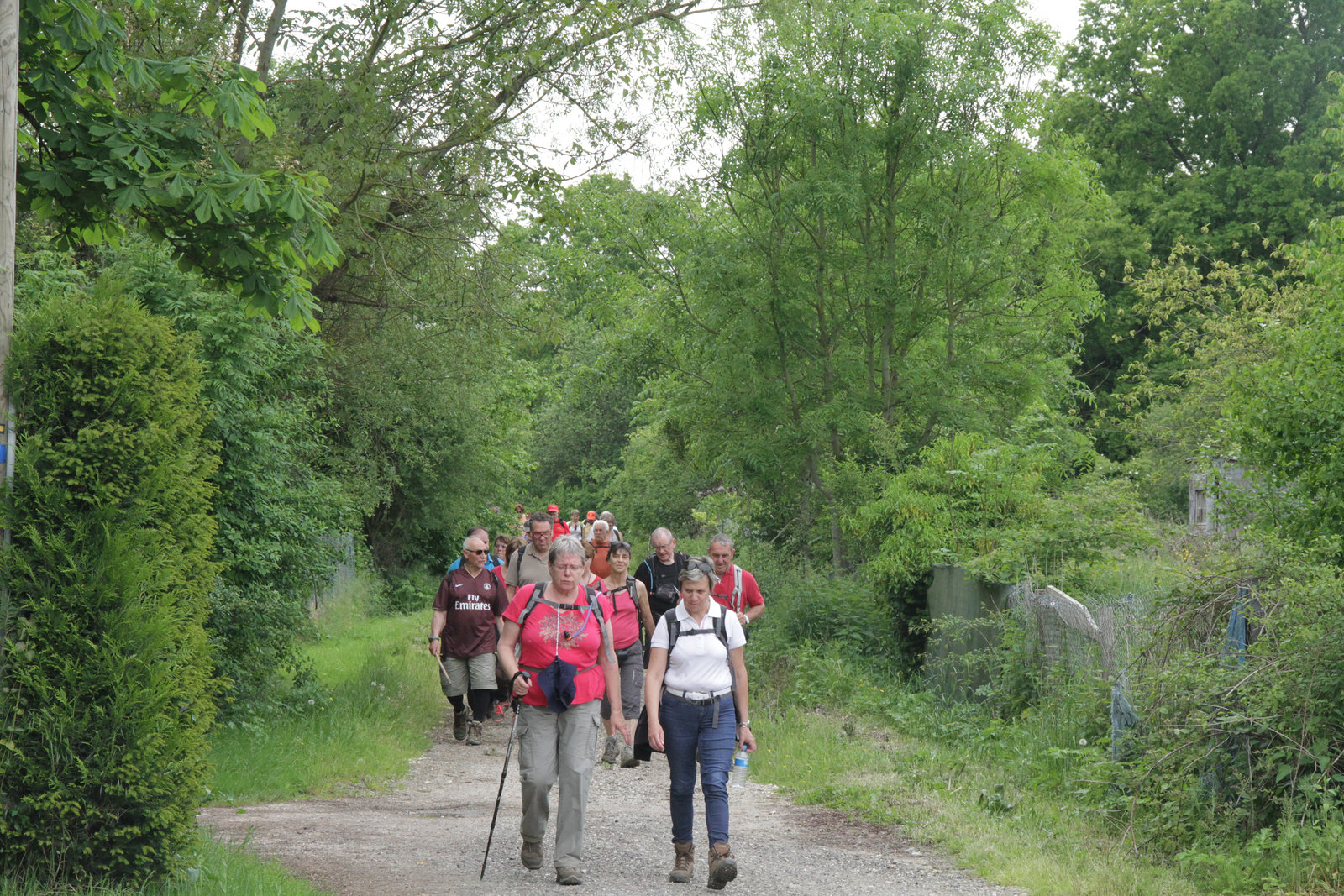 Randonnée La Chapelle Gauthier - Bombon - 21/05/2016