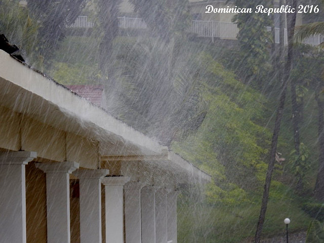 50 Rain Blasting Upwards In Storm