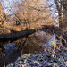 Winterliche Oker bei Veltenhof (PiP)