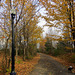 The new street lights on the trail
