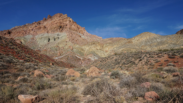 DSC00340