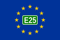 European Route E 25