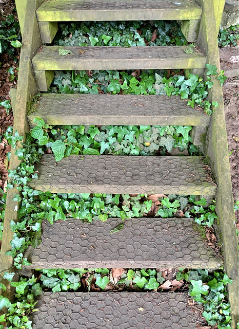 Ivy steps, Leominster, Herefordshire.