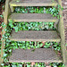 Ivy steps, Leominster, Herefordshire.