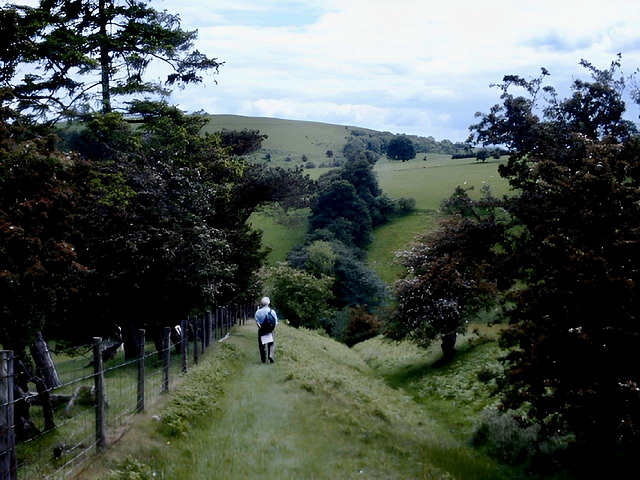 Along the Cefns on the Shropshire Way.