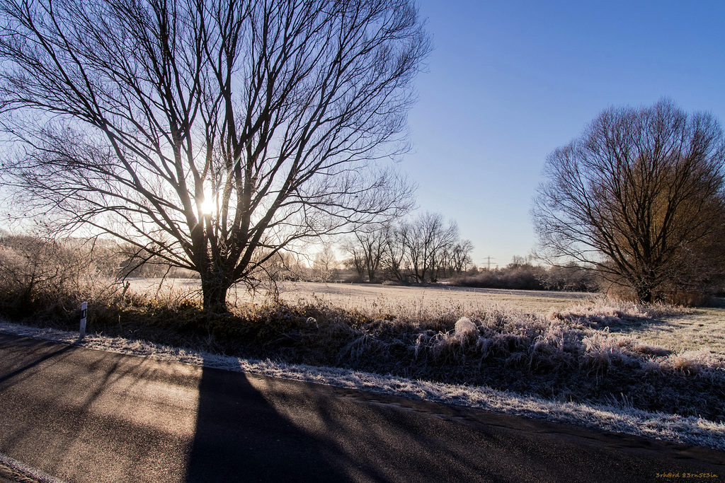 Wintersonne am Straßenrand
