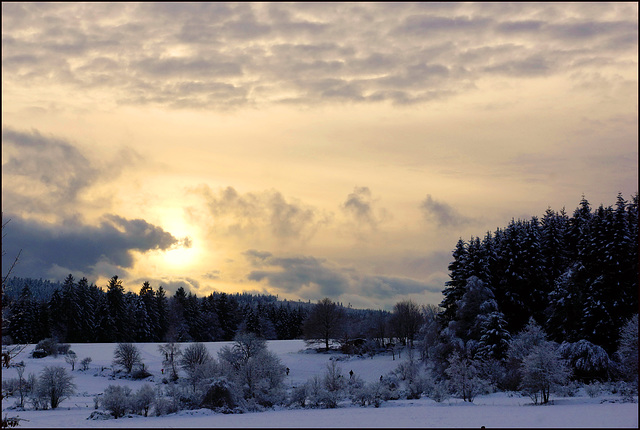 Firmament: Fahle Farben