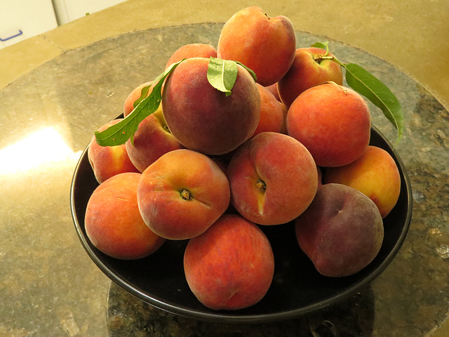 Peach season (yippee!)