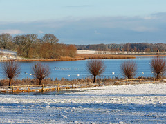 HFF im Stuerschen Becken, Winterlandschaft