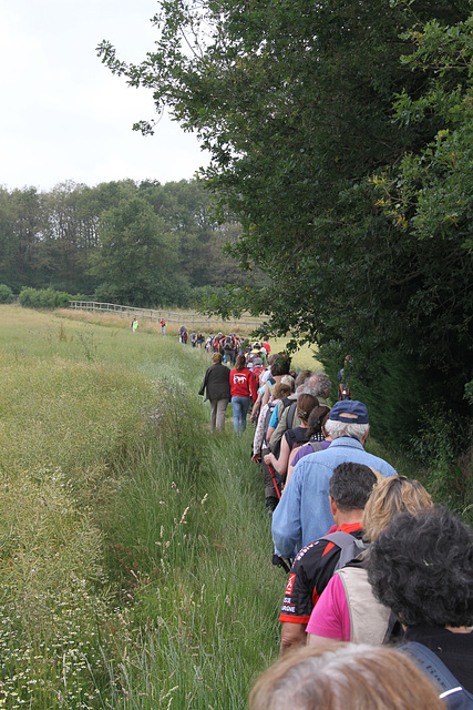 Randonnée Bombon-La Chapelle Gauthier-Bombon  - 20/06/2015