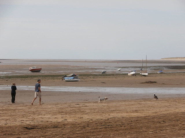 There were a few dogs on there