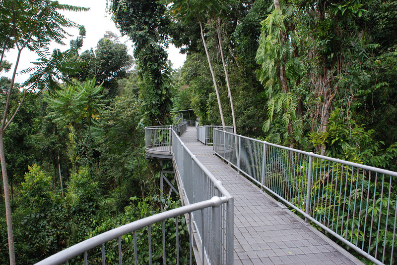 Der Zaun im Mamu Tropical Skywalk